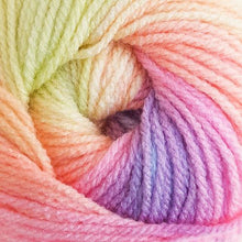 Load image into Gallery viewer, Robin Paintbox DK