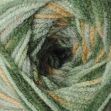 Load image into Gallery viewer, Jarol New Arrival DK Shade 310 Cascade