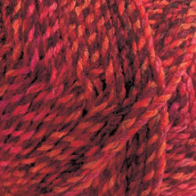 Load image into Gallery viewer, James C Brett Marble Chunky Shade 14