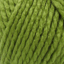 Load image into Gallery viewer, Robin Super Chunky Shade 16 Apple