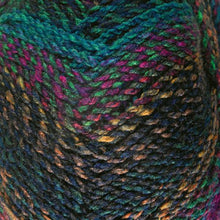 Load image into Gallery viewer, James C Brett Marble Chunky Shade 38