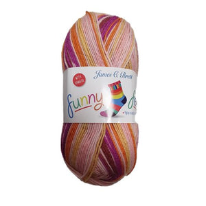 James C Brett Funny Feetz with Bamboo 4Ply