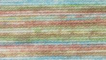 Load image into Gallery viewer, James C Brett Stonewash DK