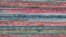 Load image into Gallery viewer, James C Brett Stonewash DK