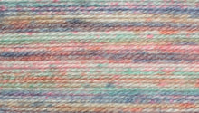 Load image into Gallery viewer, James C Brett Stonewash DK
