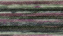 Load image into Gallery viewer, James C Brett Stonewash DK