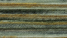 Load image into Gallery viewer, James C Brett Stonewash DK
