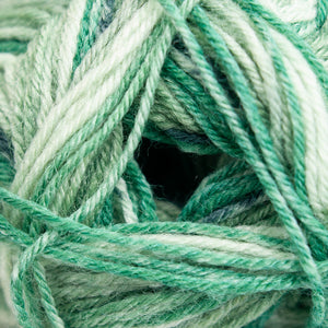 James C Brett Funny Feetz with Bamboo 4Ply