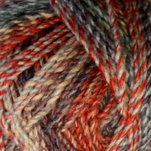 Load image into Gallery viewer, James C Brett Marble Chunky Shade 77